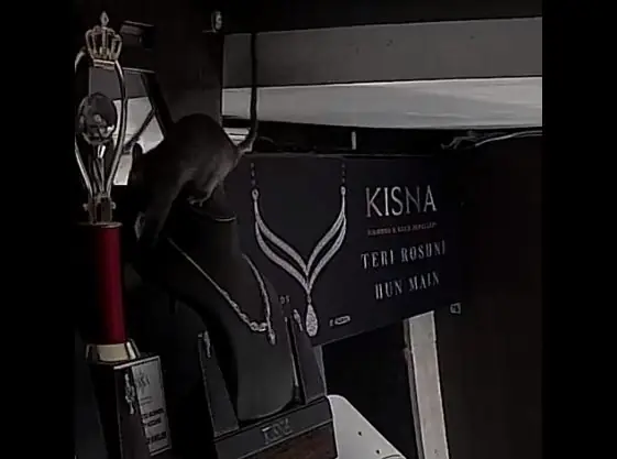 Rat ran away with a diamond necklace, this 30-second video created a ruckus, Watch Video