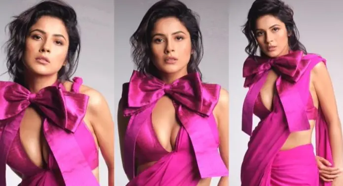 Shehnaaz Gill did a very bo*ld photoshoot in pink saree without bra, fans were shocked to see the hotness...