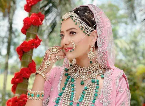 Madalsa Sharma, daughter-in-law of Mithun Chakraborty, when she became a bride, the video went viral…..