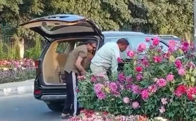 Watch: Flower pot stolen from car worth lakhs, video went viral, administration said – action will be taken