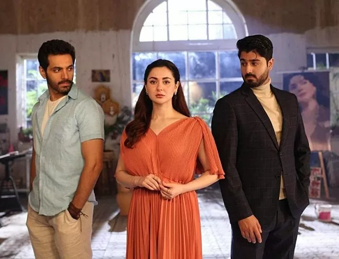 Top 5 Pakistani Drama: These Pakistani serials will make boring day entertaining, don't miss watching