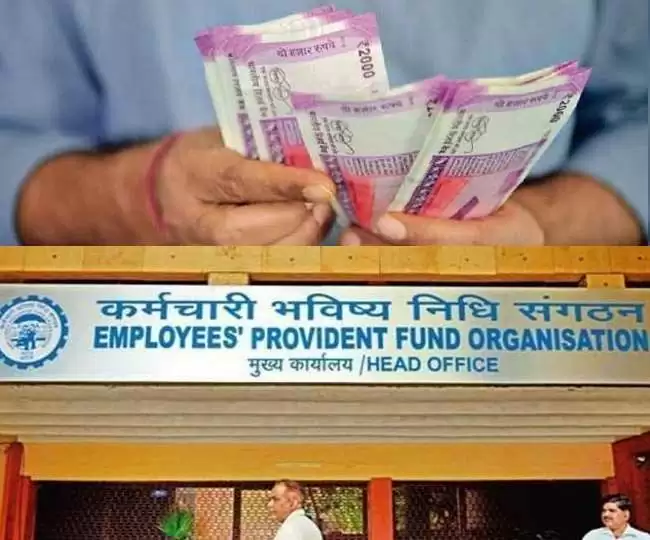 EPFO Interest Rate: Good news! Private employees will get 8.25% interest on EPF deposits in FY25
