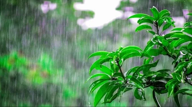 IMD New Alert! Heavy rains expected in these states till May 20, know the weather condition of your area