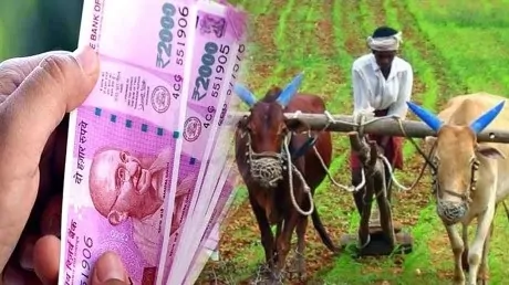 PM Kisan: Confirmed! 15th installment will come on this date, check your name in the beneficiary list like this PM Kisan: Confirmed! 15th installment will come on this date, check your name in the beneficiary list like this