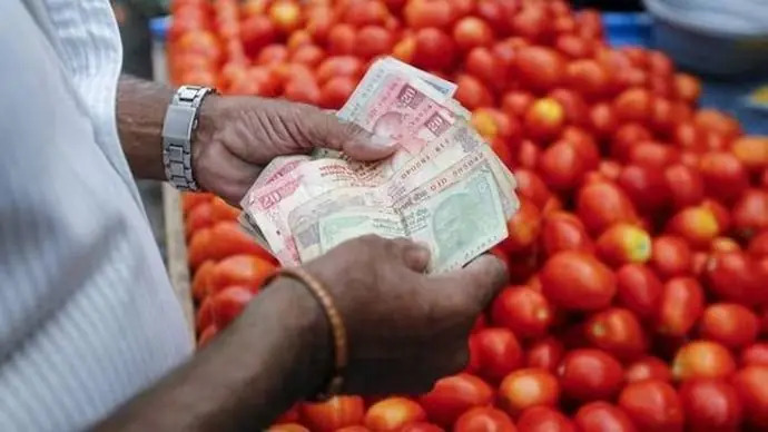 Tomato Cheap Price: Good News! 90 rupees kg tomato is available here, the government has started selling