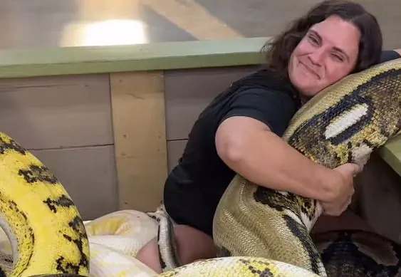 Video of woman hugging giant pythons goes viral on internet - Watch