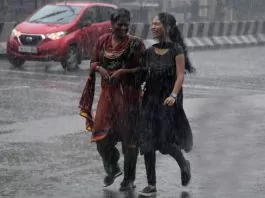 Rain Alert: Rain and storm warning in these districts of UP; Know the weather condition