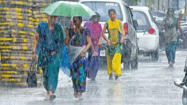 Rainfall Alert: There will be heavy rains in these states till March 2, IMD issued an alert