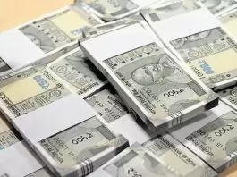PPF Saving Scheme: This government scheme will make you a millionaire in 20 years, ₹1.33 crore will come in your account, know how