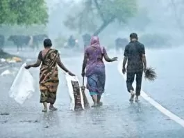 IMD Rain Alert: Thunderstorm and rain warning for five days; Yellow alert for two days, what did IMD say in the latest update