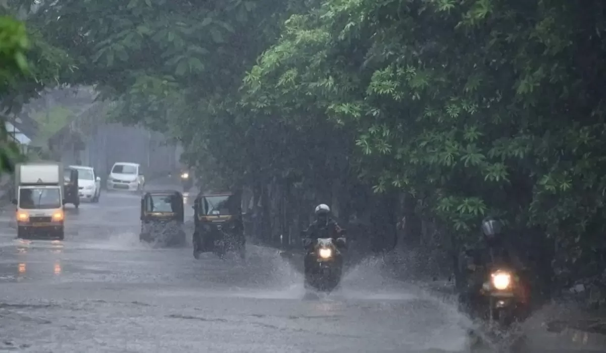 Weather Update: Cold winds brought down the night temperature, Meteorological Department issued an alert of heavy storm and rain Weather Update: Cold winds brought down the night temperature, Meteorological Department issued an alert of heavy storm and rain