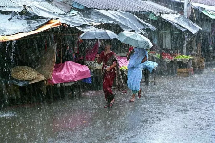 Rain Alert: Heavy rain and dense fog alert in many states amid cold wave, check Weather condition here