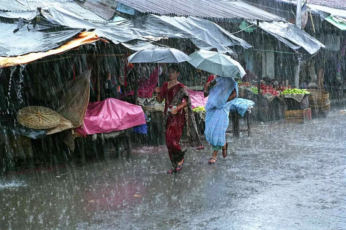 Rain Alert: Heavy rain and dense fog alert in many states amid cold wave, check Weather condition here Rain Alert: Heavy rain and dense fog alert in many states amid cold wave, check Weather condition here