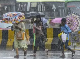 Haryana Heavy Rain Alert: Heavy rain in these districts of Haryana today, IMD issued yellow alert