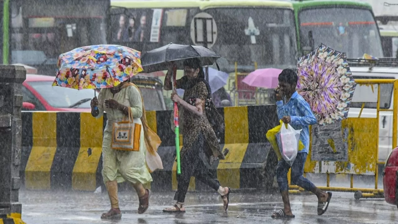 IMD Rain Alert: Heavy rain expected in 9 states including Delhi; Know the weather condition in your state IMD Rain Alert: Heavy rain expected in 9 states including Delhi; Know the weather condition in your state