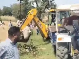 Crocodile Video: JCB had to be called to rescue a 12 feet long crocodile, video went viral