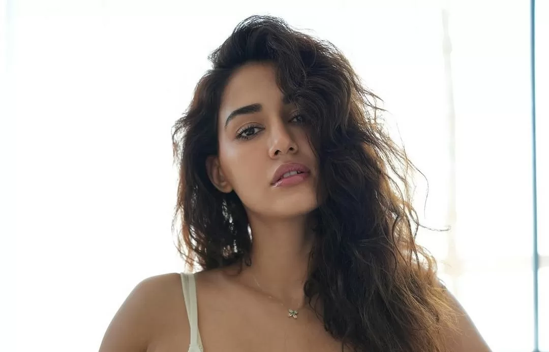 Disha Patani shared glamorous pictures, hot look raised the temperature of the internet