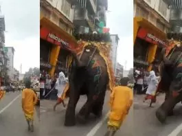 Elephant went out of control in Ahmedabad Jagannath Rath Yatra, people were seen running here and there, watch video