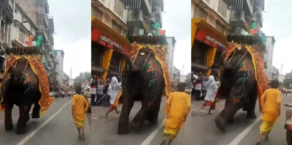 Elephant went out of control in Ahmedabad Jagannath Rath Yatra, people were seen running here and there, watch video Elephant went out of control in Ahmedabad Jagannath Rath Yatra, people were seen running here and there, watch video