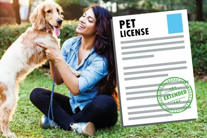 Pets License Big news! Now you cannot keep a dog or cat at home without a license, otherwise you will be fined and legal action will be taken