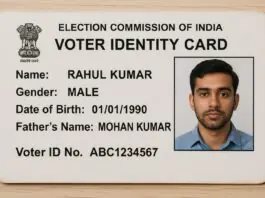 Bihar Assembly Election 2025: Download e-voter ID card from home in just one click, check the process here