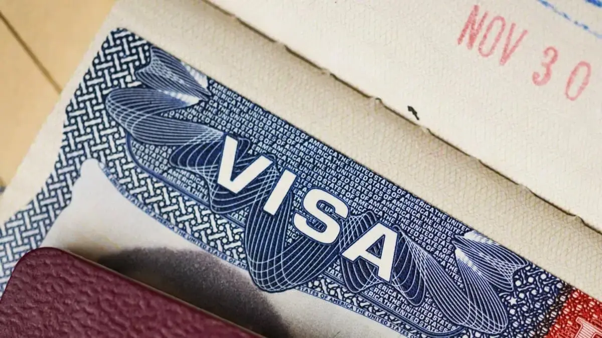 Visa Applications: Passport holders can travel to 29 countries on a single visa; Learn the application process and application fees